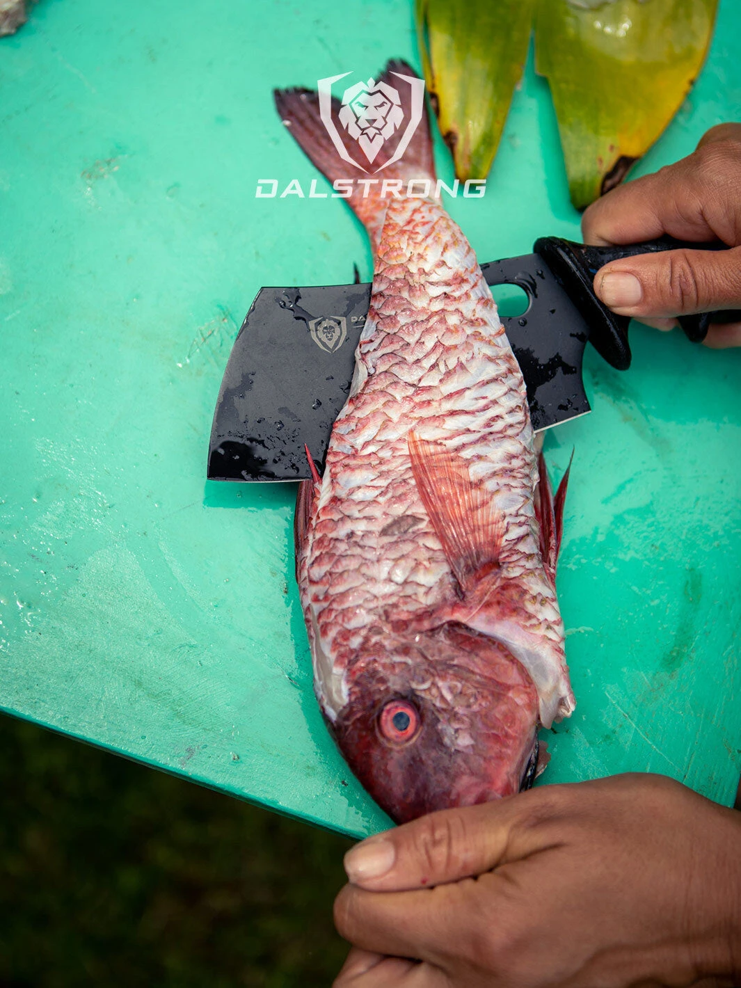 3-Piece Knife Set | Boning Knife, Hook Knife, Mini Cleaver | Night Shark Series | NSF Certified | Dalstrong © 11 3-Piece Knife Set | Boning Knife, Hook Knife, Mini Cleaver | Night Shark Series | NSF Certified | Dalstrong © - Image 9