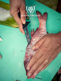 Fillet Knife 4.7" | Night Shark Series | NSF Certified | Dalstrong © 20 Fillet Knife 4.7" | Night Shark Series | NSF Certified | Dalstrong © -Dalstrong 1065x1420 ns 4.7 fillet2