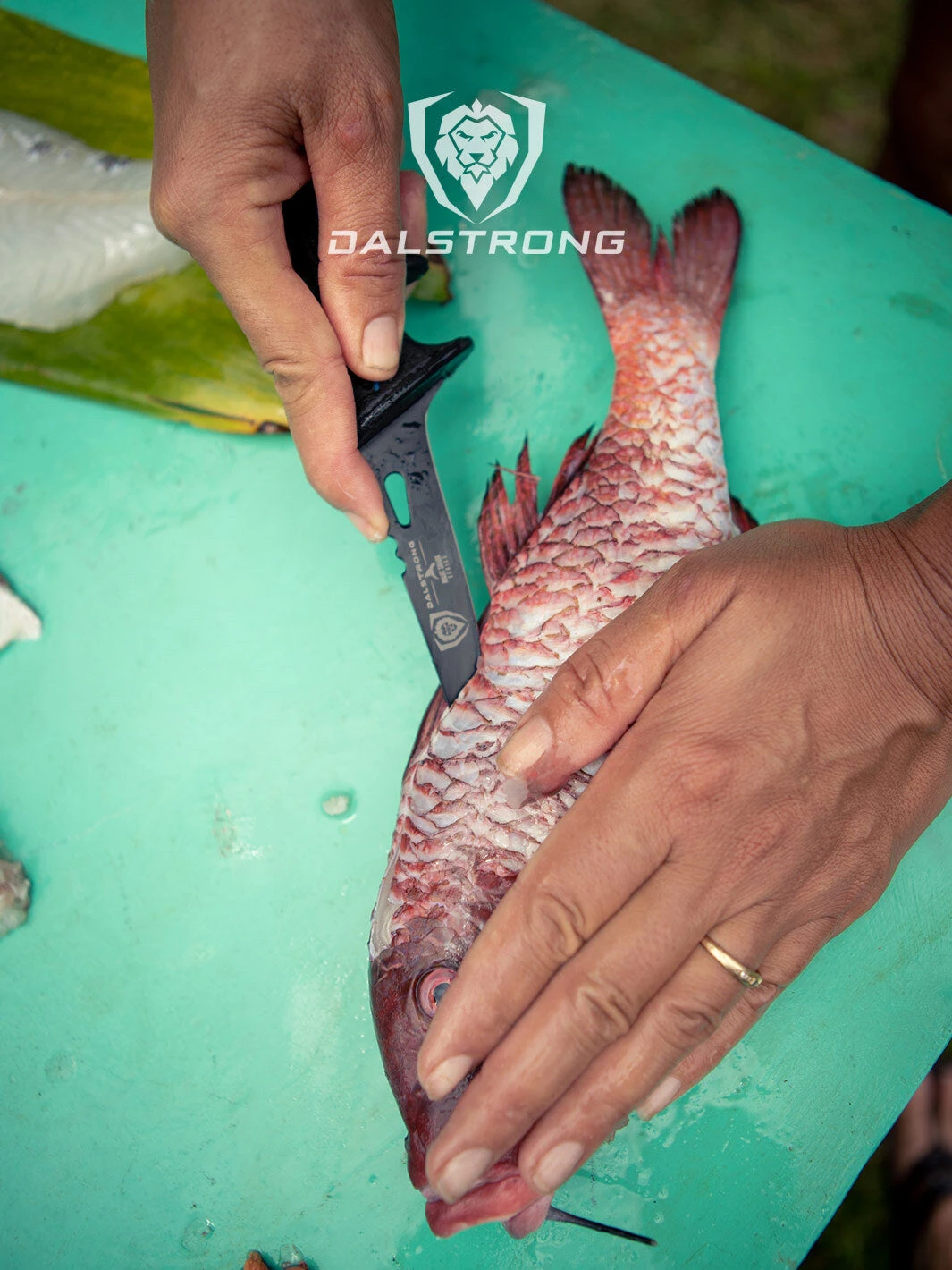 Fillet Knife 4.7" | Night Shark Series | NSF Certified | Dalstrong © 11 Fillet Knife 4.7" | Night Shark Series | NSF Certified | Dalstrong © - Image 9