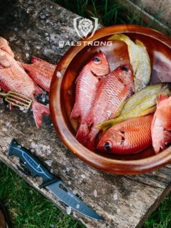 Curved Boning Knife 6" | Night Shark Series | NSF Certified | Dalstrong © 21 Curved Boning Knife 6" | Night Shark Series | NSF Certified | Dalstrong © -Dalstrong 1065x1420 ns curved boning 2