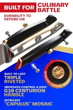 Butcher & Breaking Knife 10" | Cimiter Meat Slicer | Centurion Series | Dalstrong © 14 Butcher & Breaking Knife 10" | Cimiter Meat Slicer | Centurion Series | Dalstrong © -Dalstrong CTS 10in Butcher Knife Editable 3