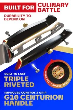 Curved Boning Knife 6" | Centurion Series | Dalstrong © -Dalstrong CTS 6in Curved Boning Knife img03 1080x 3e592640 166e 433b be2f 9cf47418a4a0