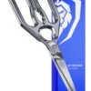 Professional Kitchen Scissors | 420J2 Japanese Stainless Steel | Dalstrong © -Dalstrong DS Scissors LISTING Images 01